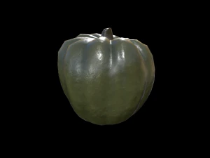 Squash Acorn 3D Model