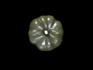 Squash Acorn 3D Model