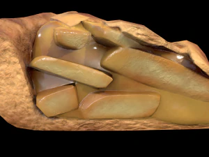 ApplePie Piece 3D Model