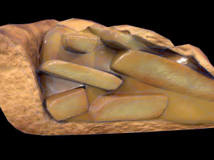 ApplePie Piece 3D Model