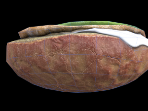 Avocado Mollete 3Dモデル