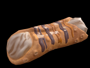 CannolisCaramel Modèle 3D