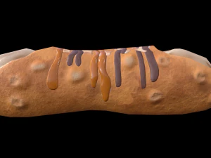CannolisCaramel 3D Model