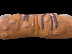 CannolisCaramel 3D Model