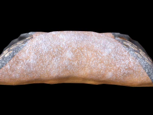 CannolisChocolate 3D Model