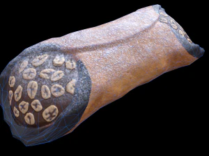CannolisChocolate 3D Model