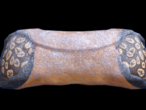CannolisChocolate Modelo 3D