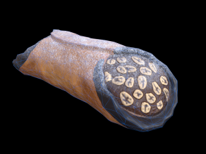 CannolisChocolate Modelo 3D