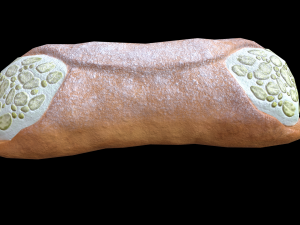 CannolisPistachio Modèle 3D