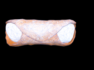 CannolisPlain Modèle 3D
