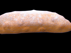 CannolisPlain Modèle 3D
