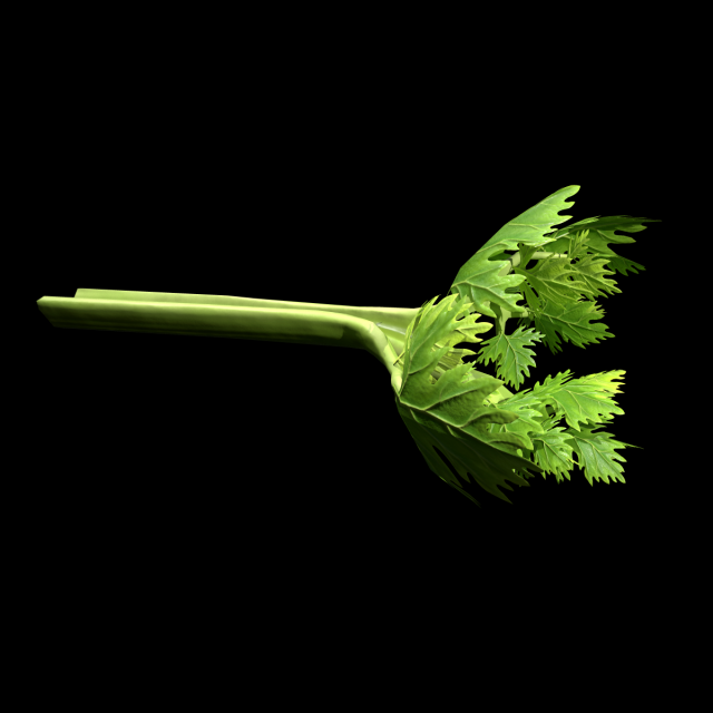 CeleryBranchLeaf 3D Model .c4d .max .obj .3ds .fbx .stl .blend 