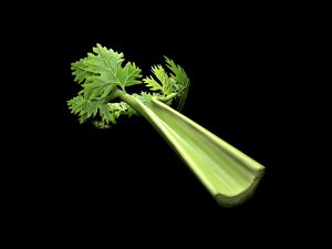 CeleryBranchLeaf 3D Model