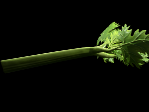 CeleryBranchLeaf 3D Model