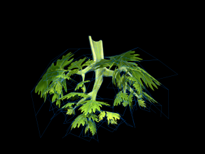 CeleryBranchLeaf 3D Model