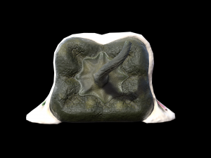 ChilesEnNogada 3D Model