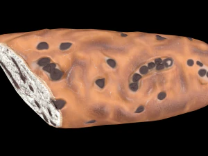 ChocolateBread 3D Model