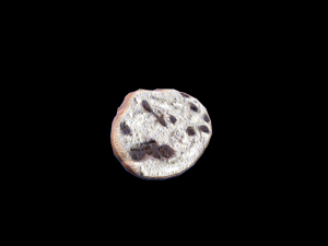 ChocolateBread 3D 模型