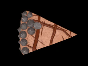 ChocolateGateauPiece 3D Model