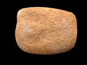 CinnanmonBun 3D Model