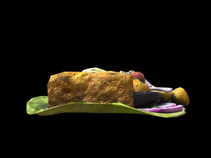CodLettuce 3D Model
