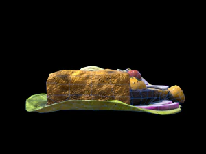 CodLettuce 3D Model