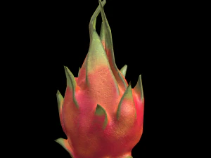 fruta del drag&oacute;n Modelo 3D