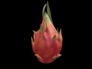DragonFruit 3D 모델