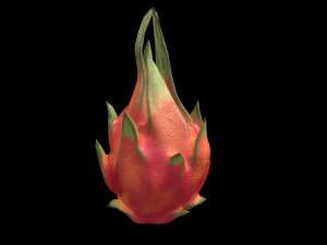DragonFruit 3D Model