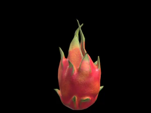 DragonFruit 3D Model