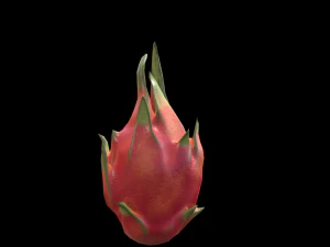 DragonFruit 3D Model