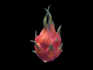 DragonFruit 3D Model