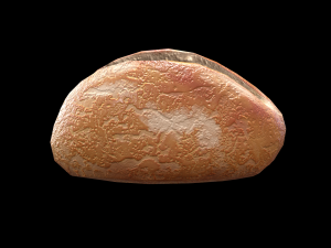 DanishRaspberry 3D Model