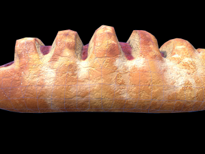 DanishRaspberry 3D Model