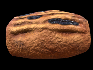 DanishBlueberry 3D 模型
