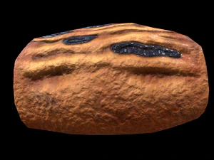 DanishBlueberry 3D Model