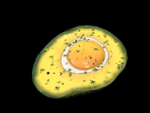 OeufAvocatCuit Modèle 3D