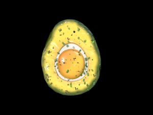 EggAvocadoBaked Modèle 3D