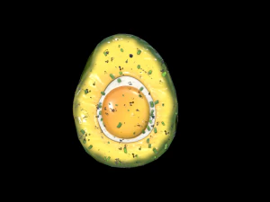 EggAvocadoBaked 3D Model
