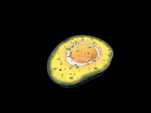 EggAvocadoBaked Modèle 3D