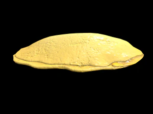 EggOmellet 3D Model