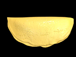 EggOmellet 3D Model