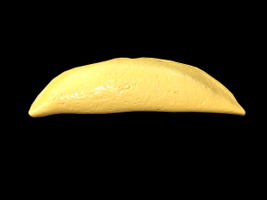 EggOmellet Model 3D