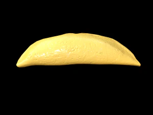 EggOmellet 3D Model