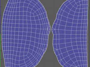 EggOmellet 3D Model