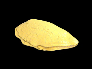 EggOmellet 3D Model