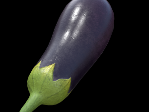 EggPlant 3D Model