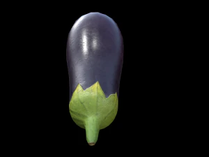 EggPlant 3D Model