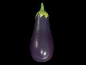 EggPlant 3D Model