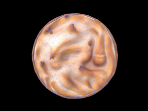 GrahamPie 3D 模型